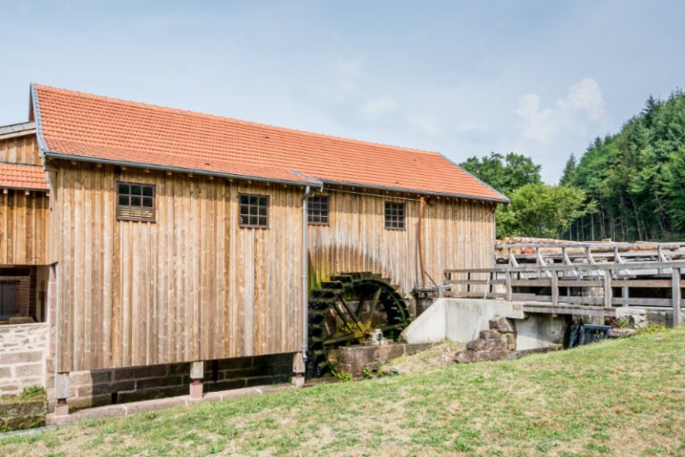 actualités de Miels et Saveurs